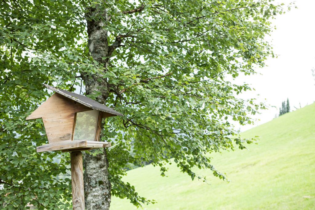 Ferienhaus Sara باد كلينكيرشهايم المظهر الخارجي الصورة