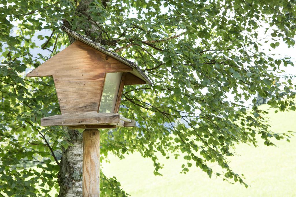 Ferienhaus Sara باد كلينكيرشهايم المظهر الخارجي الصورة